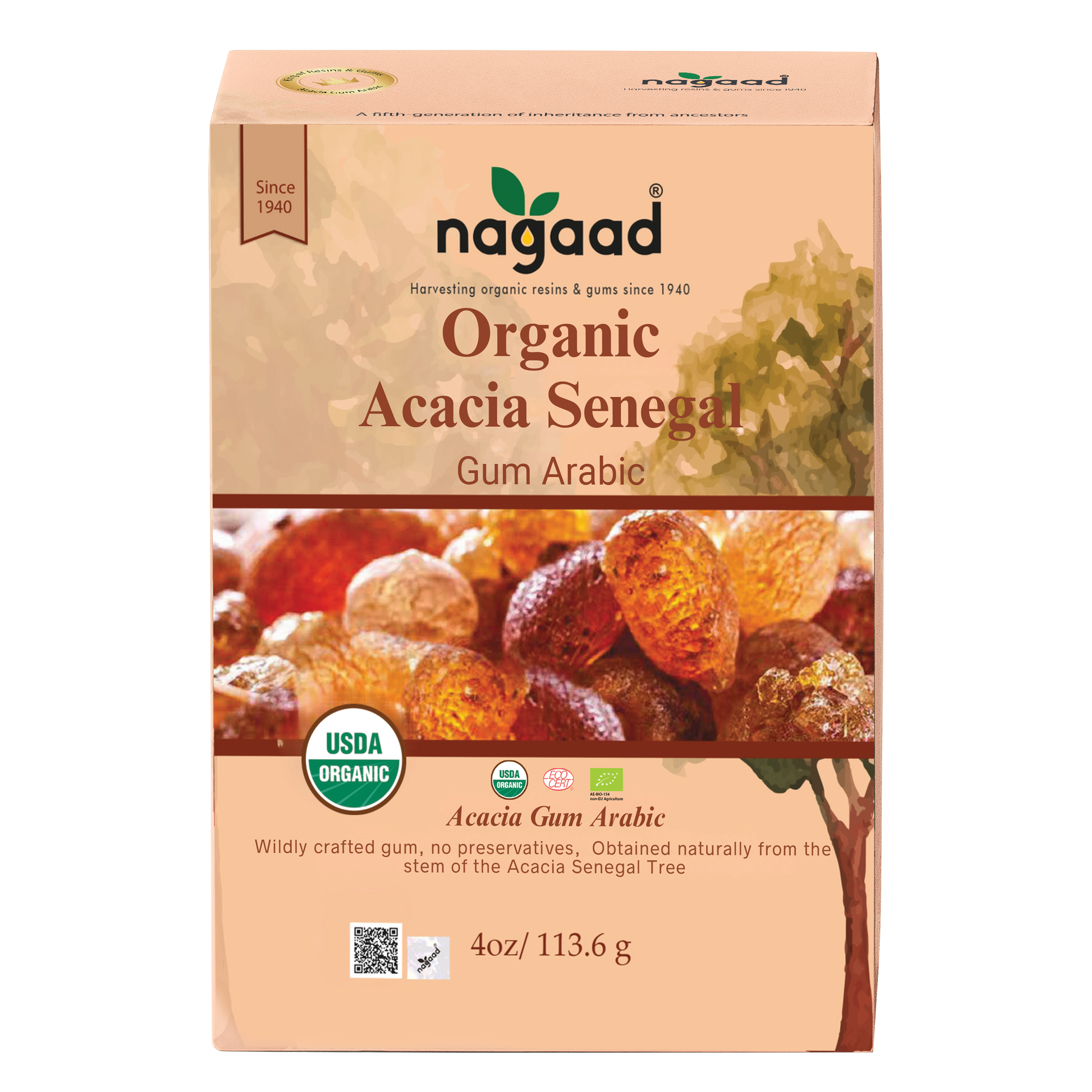 A single green leaf against a white background.