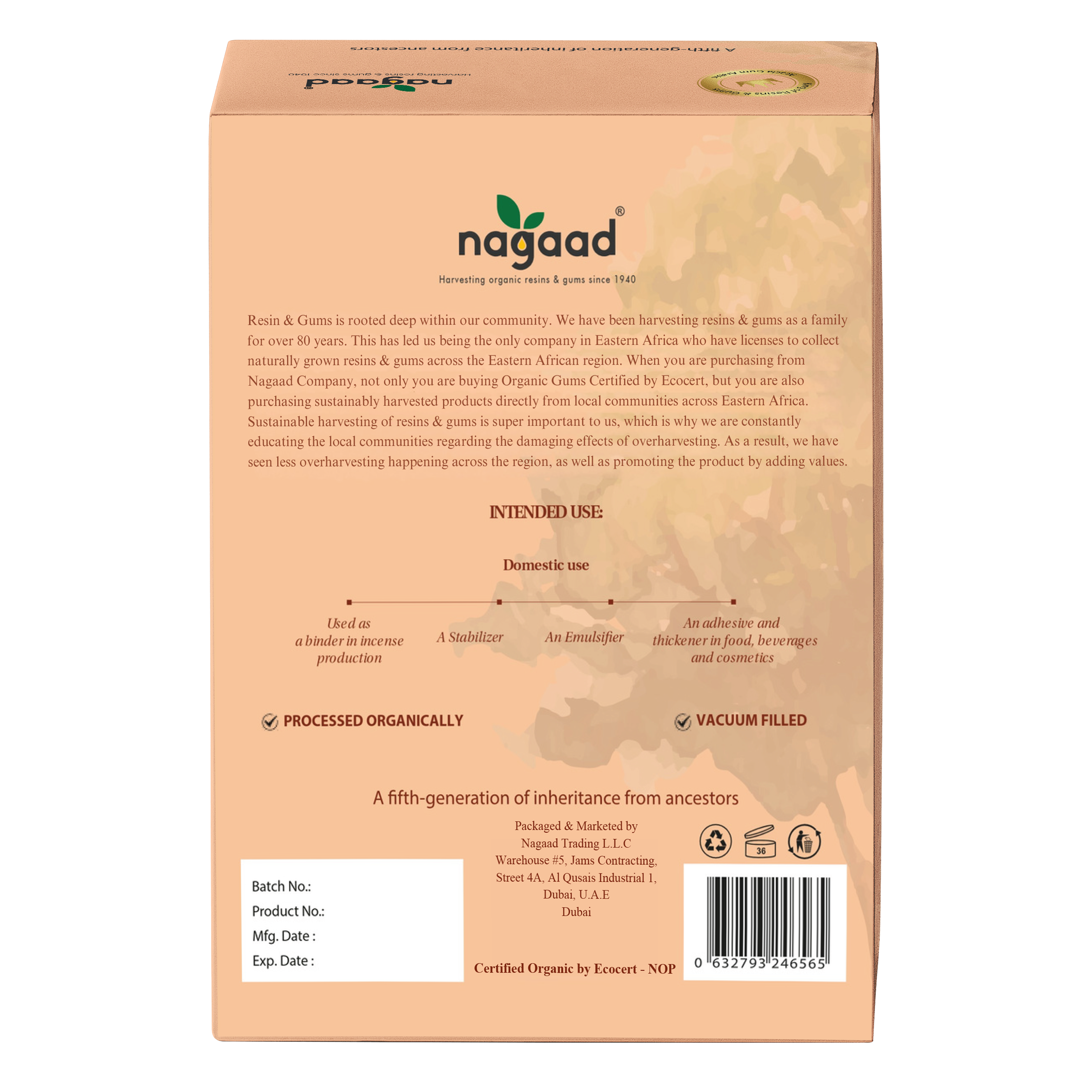 A single palm leaf in a clear glass of water on a white background.