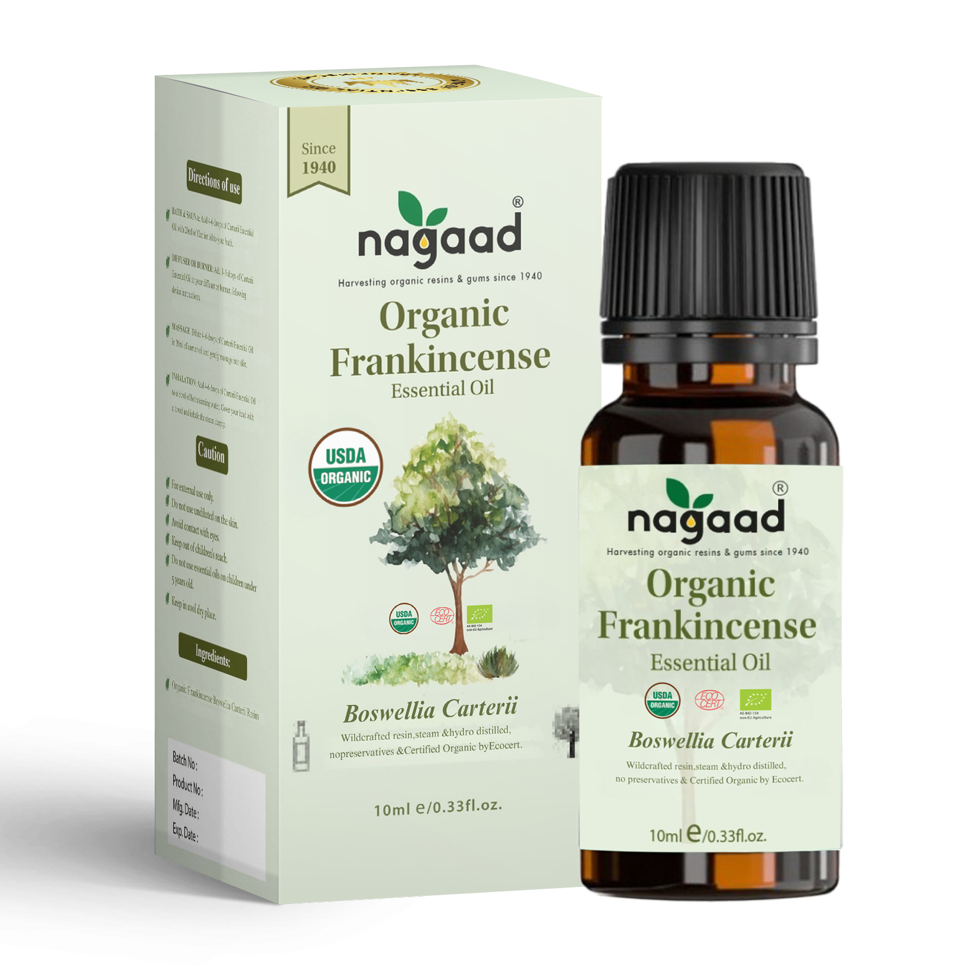 A single palm leaf in a clear glass of water on a white background.