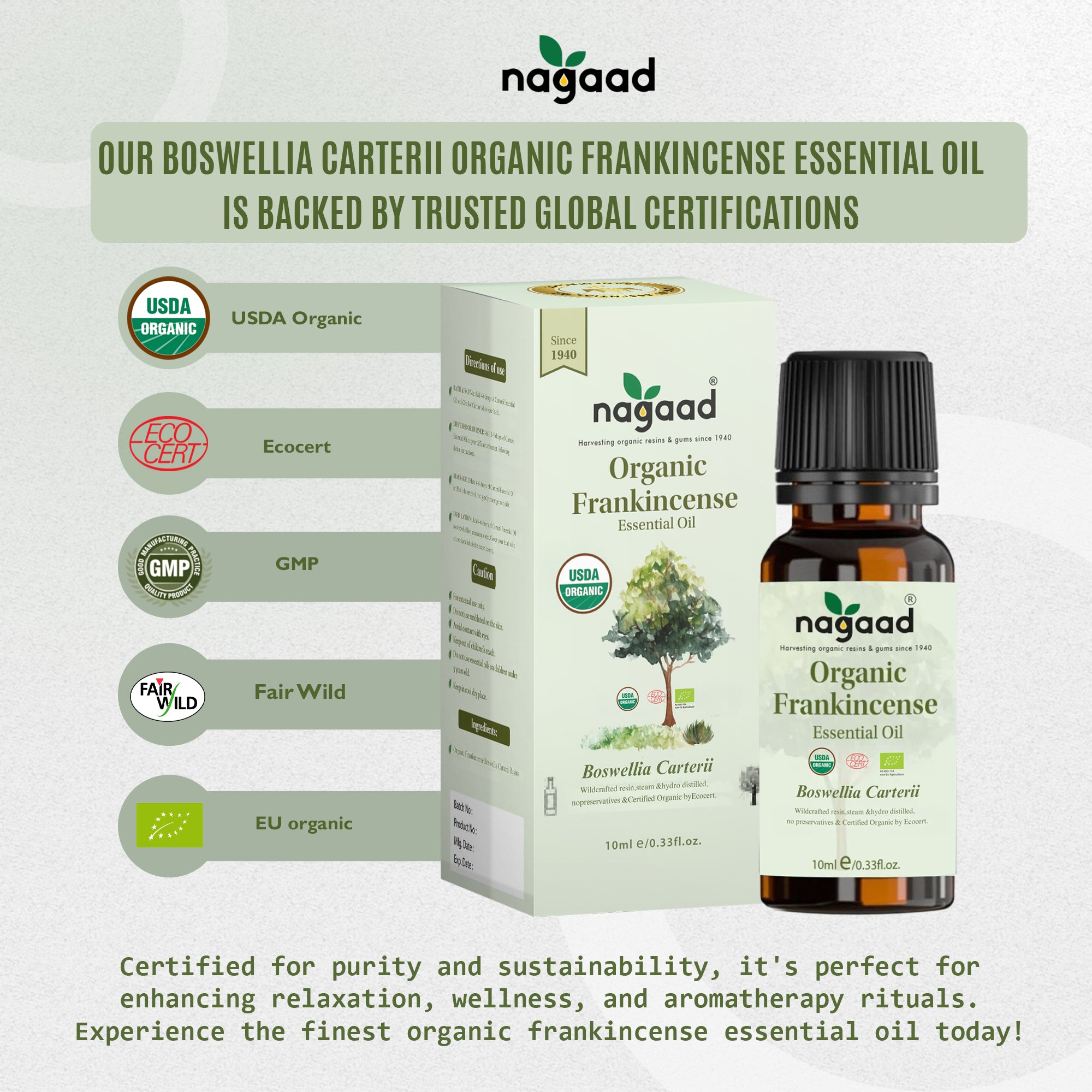 Smartphone with content on screen beside a potted plant against a white background with sunlight shadows.