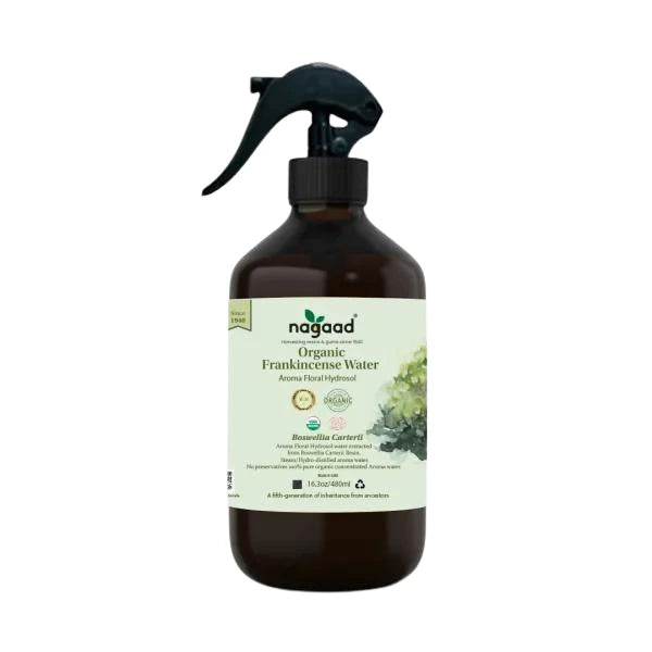 A single green leaf against a white background.