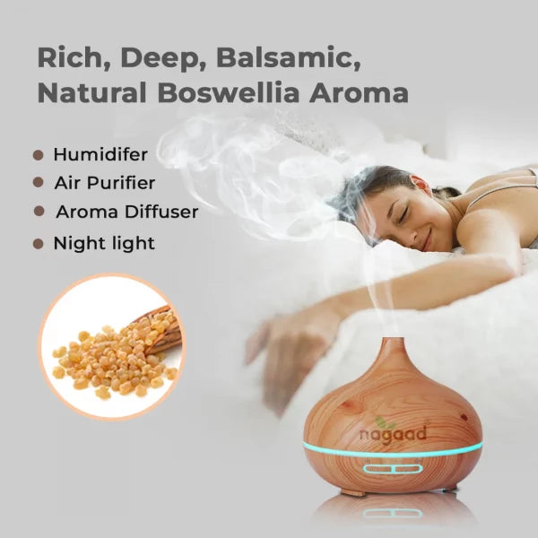 A single green leaf against a white background.