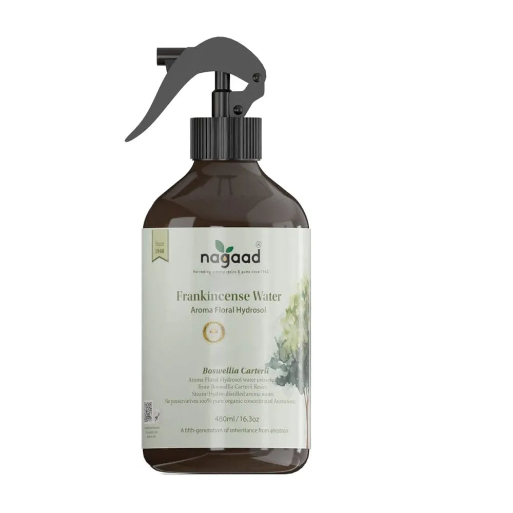 A single green leaf against a white background.