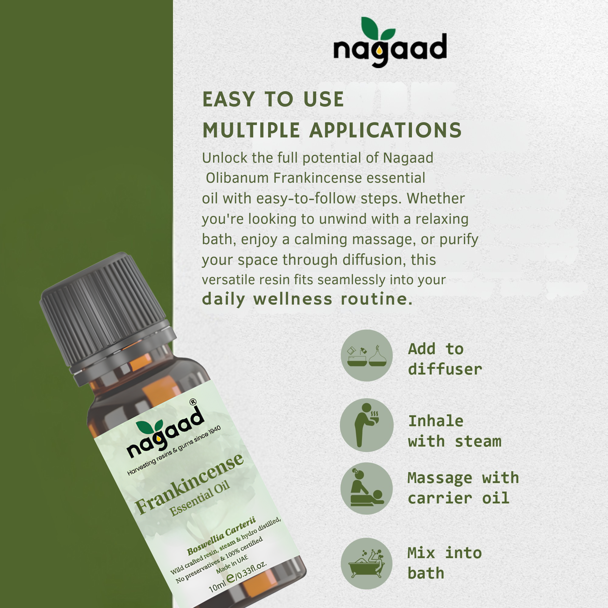 Smartphone with content on screen beside a potted plant against a white background with sunlight shadows.