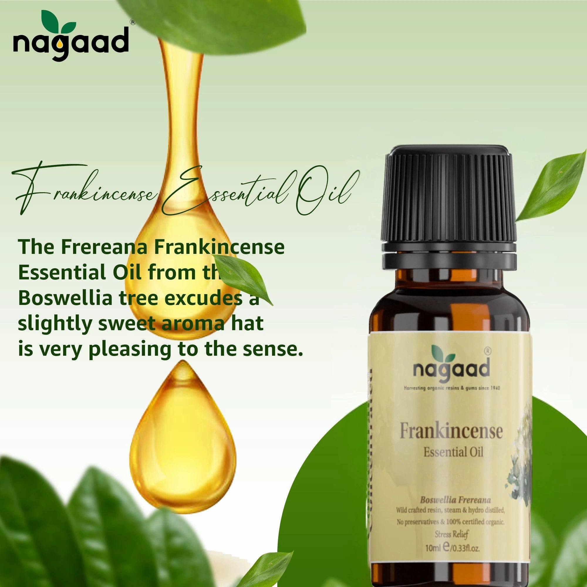 Green palm leaf beside blank white cards on a plain background.