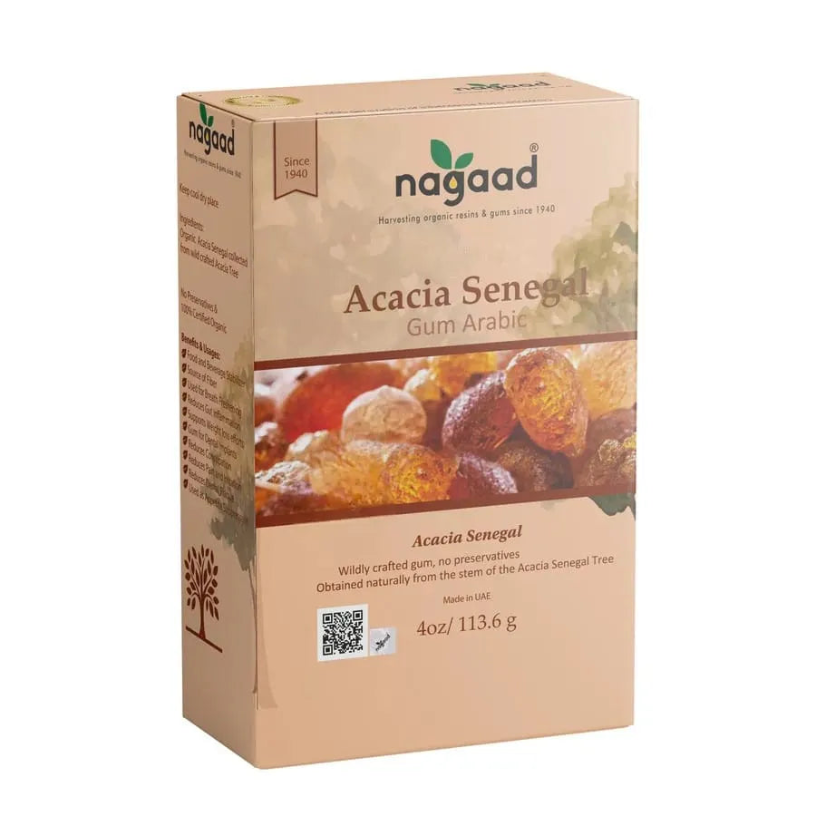 A single green leaf against a white background.