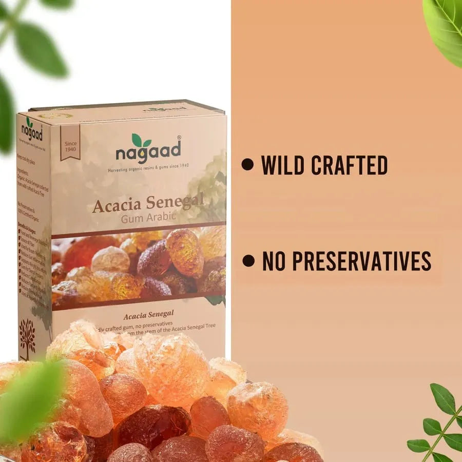 A single monstera leaf in a clear glass vase against a white background.