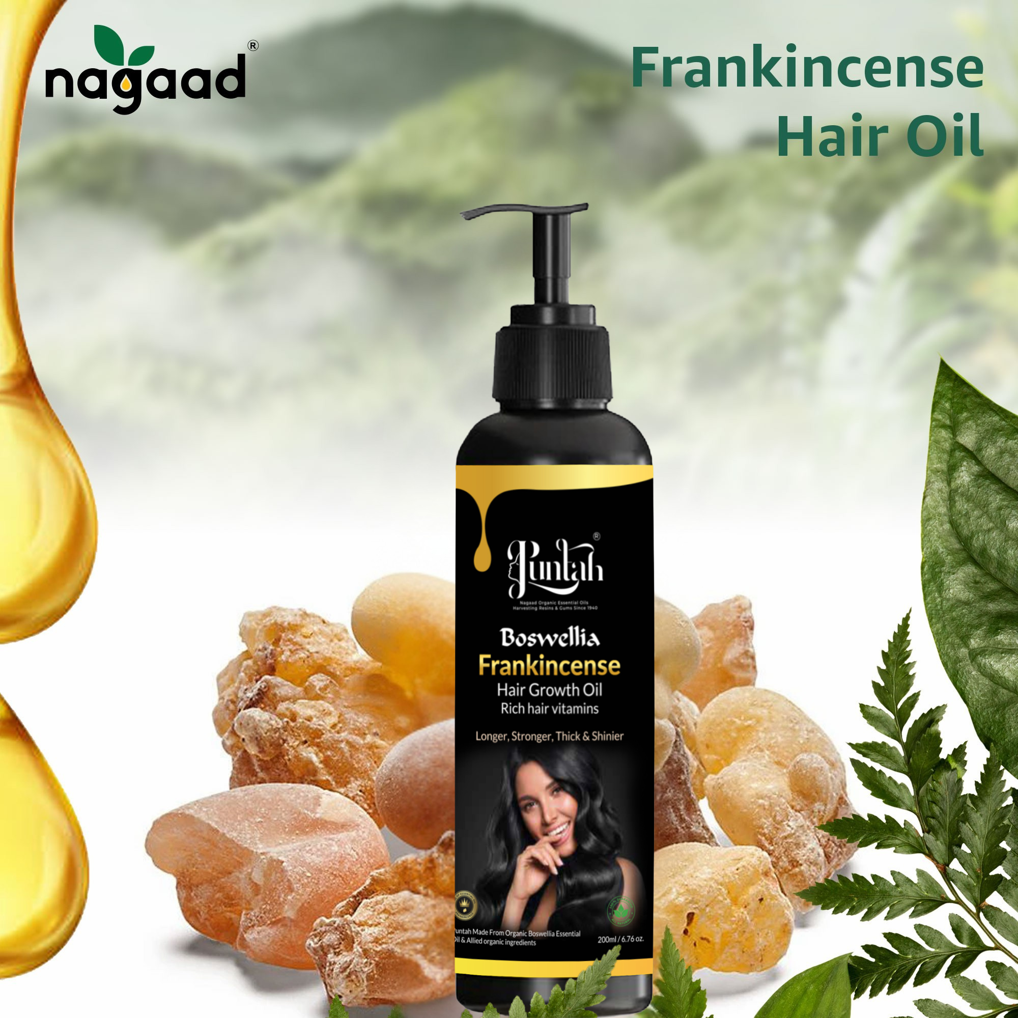 A single palm leaf in a clear glass of water on a white background.