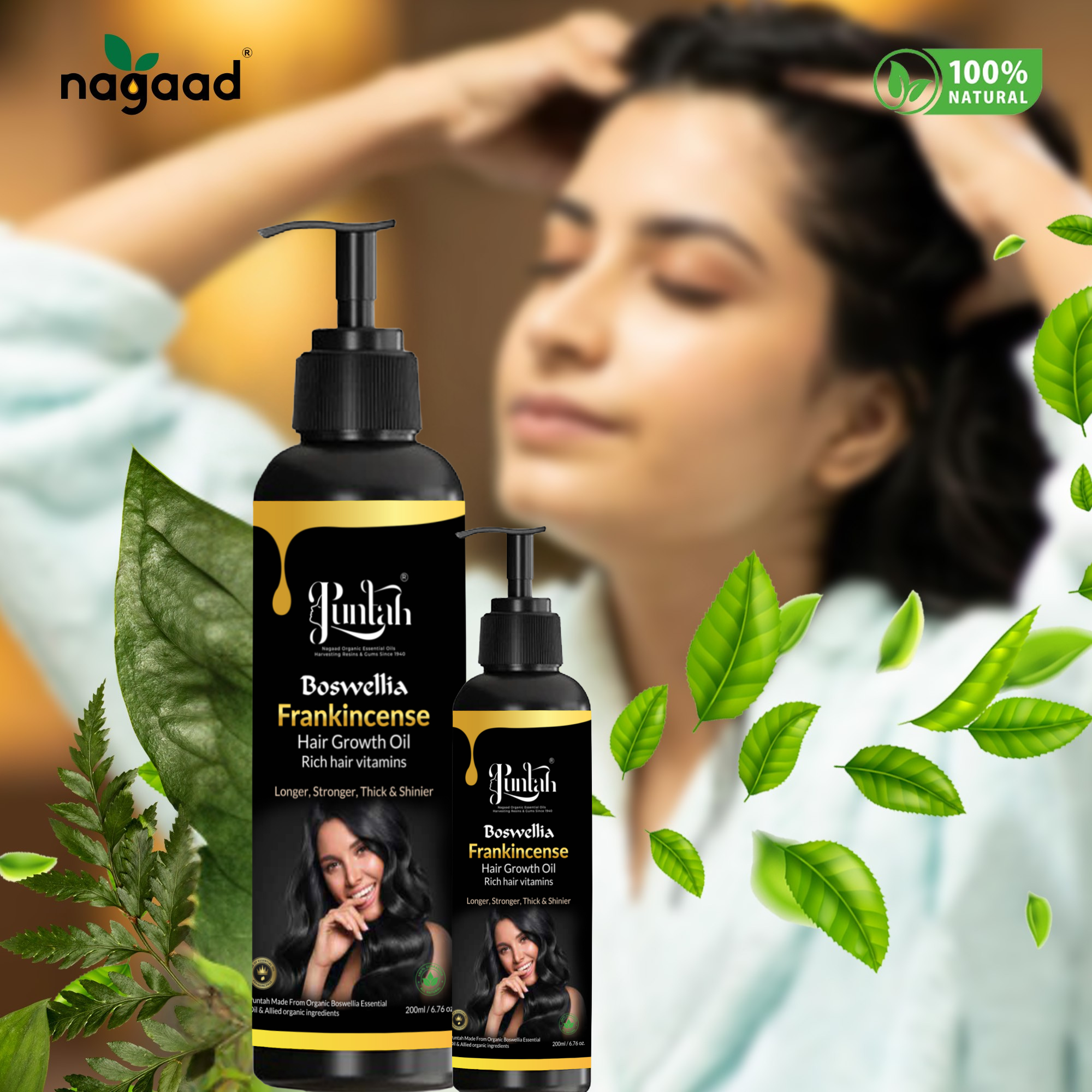 A single monstera leaf in a clear glass vase against a white background.