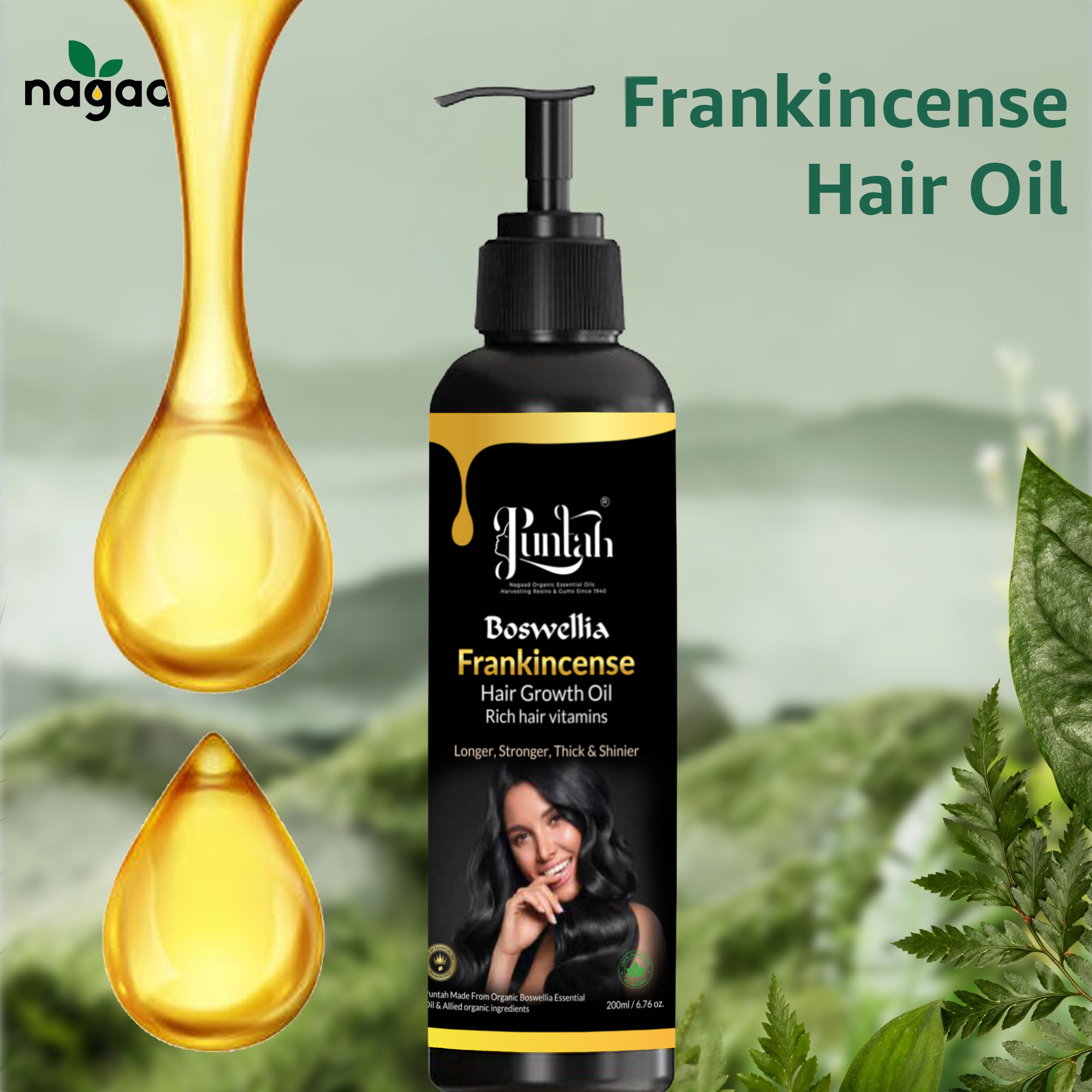 Smartphone with content on screen beside a potted plant against a white background with sunlight shadows.