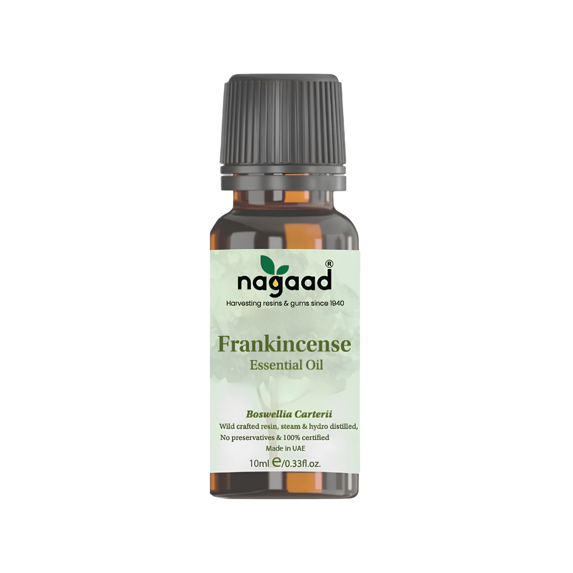 A single green leaf against a white background.