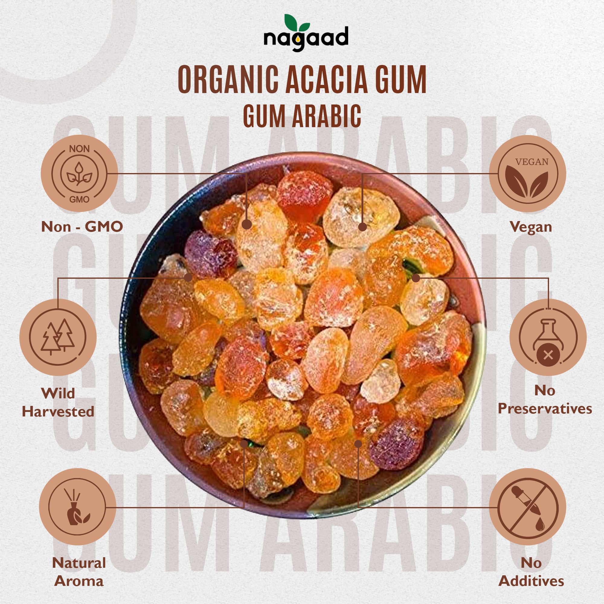 Green palm leaf beside blank white cards on a plain background.