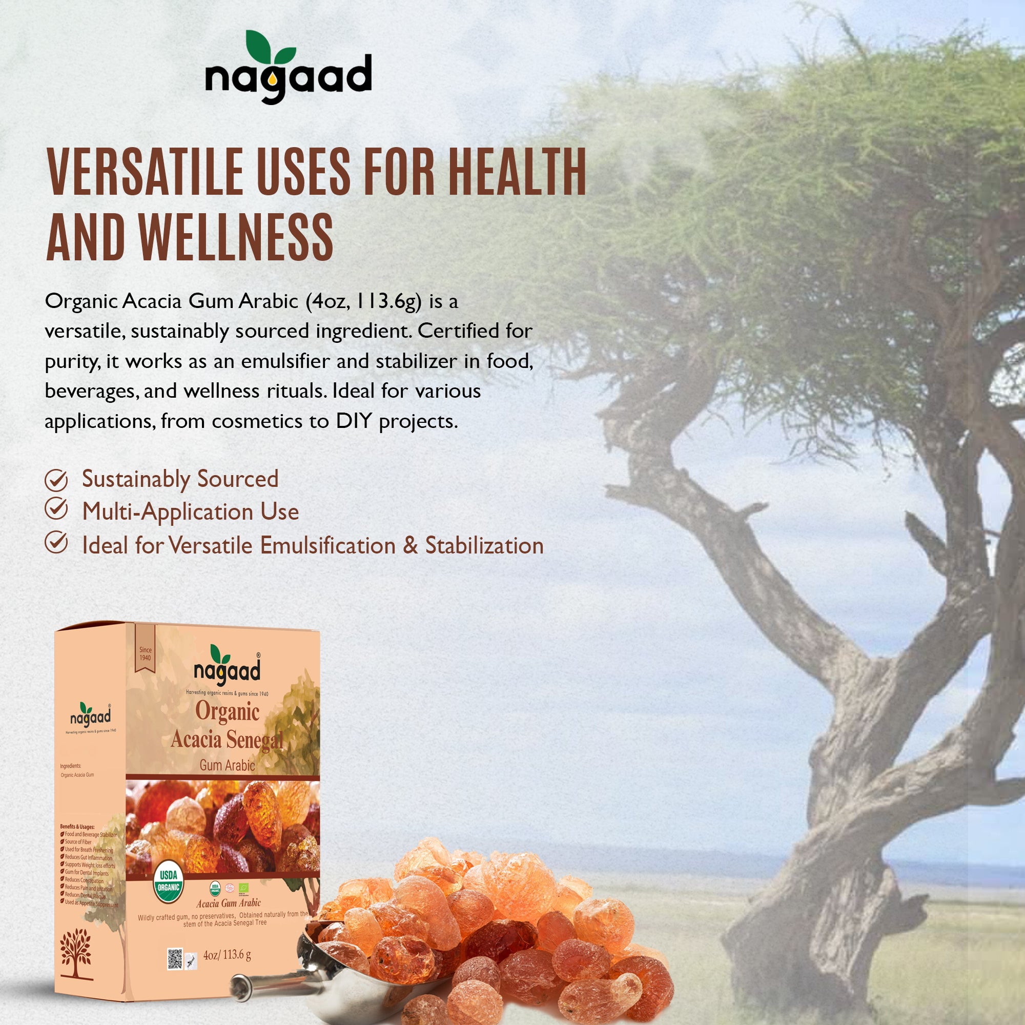 Smartphone with content on screen beside a potted plant against a white background with sunlight shadows.