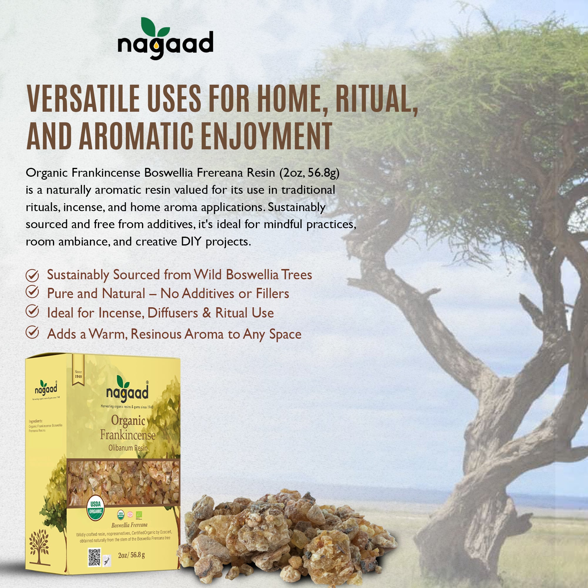 Green palm leaf beside blank white cards on a plain background.